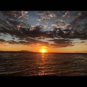 Meet your Posher, Tanya